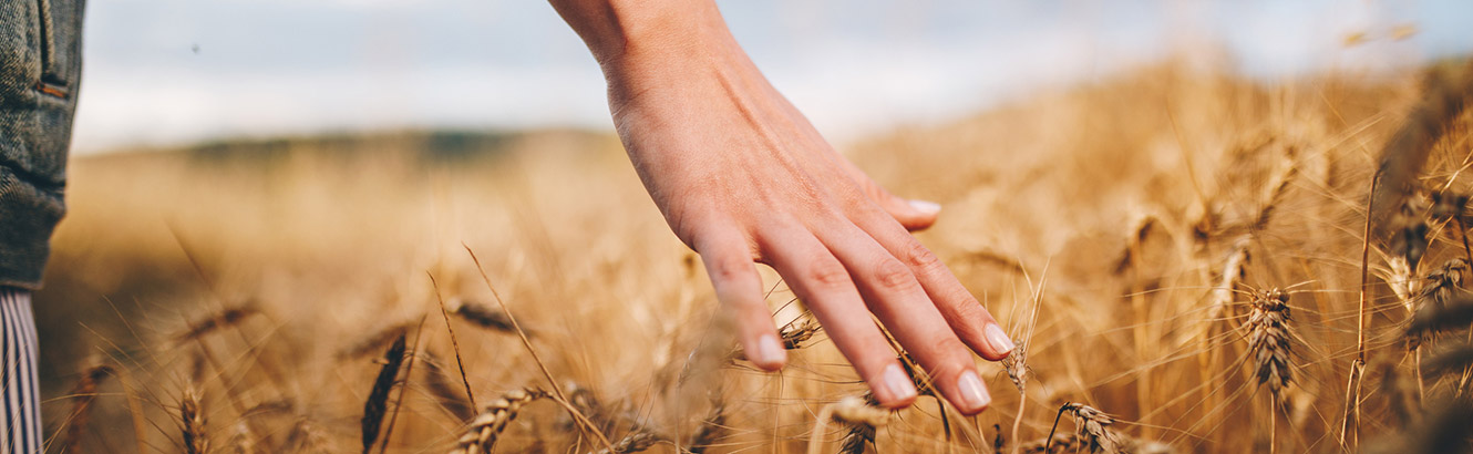 Man walking through field